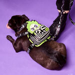 Beetlejuice Cosplay Mini Backpack Dog Harness, , hi-res view 2